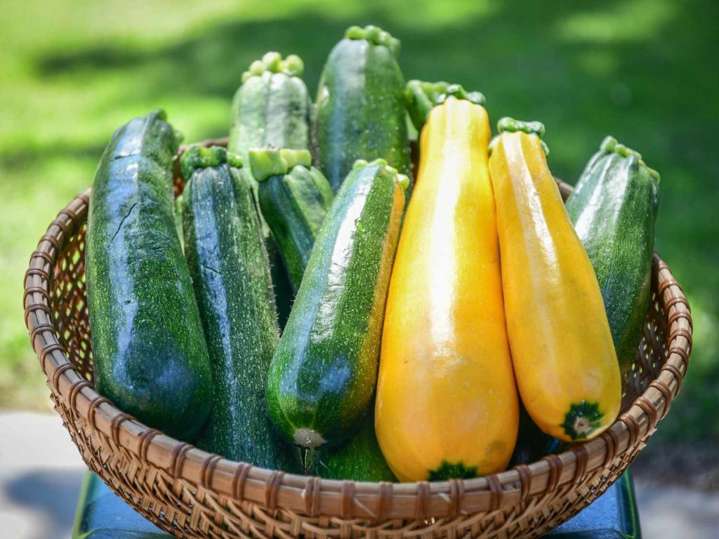 Zucchini for Red Bell Peppers